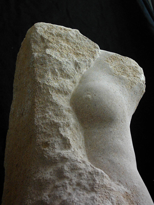 Verborgene Venus